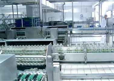 China Glass Bottled Beverage Processing Equipment Walnut / Peanut Milk Production Line supplier
